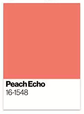 peach echo - juliofrancaassessoria.com.br
