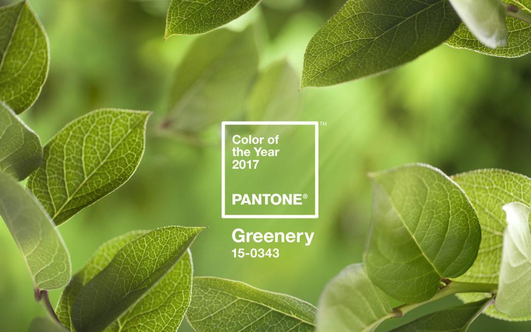 Pantone® Greenery é a cor do ano de 2017 - AcrediteCo