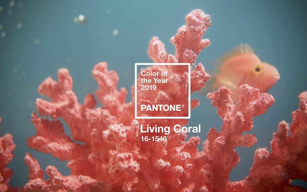 Pantone® Living Coral é a cor do ano de 2019