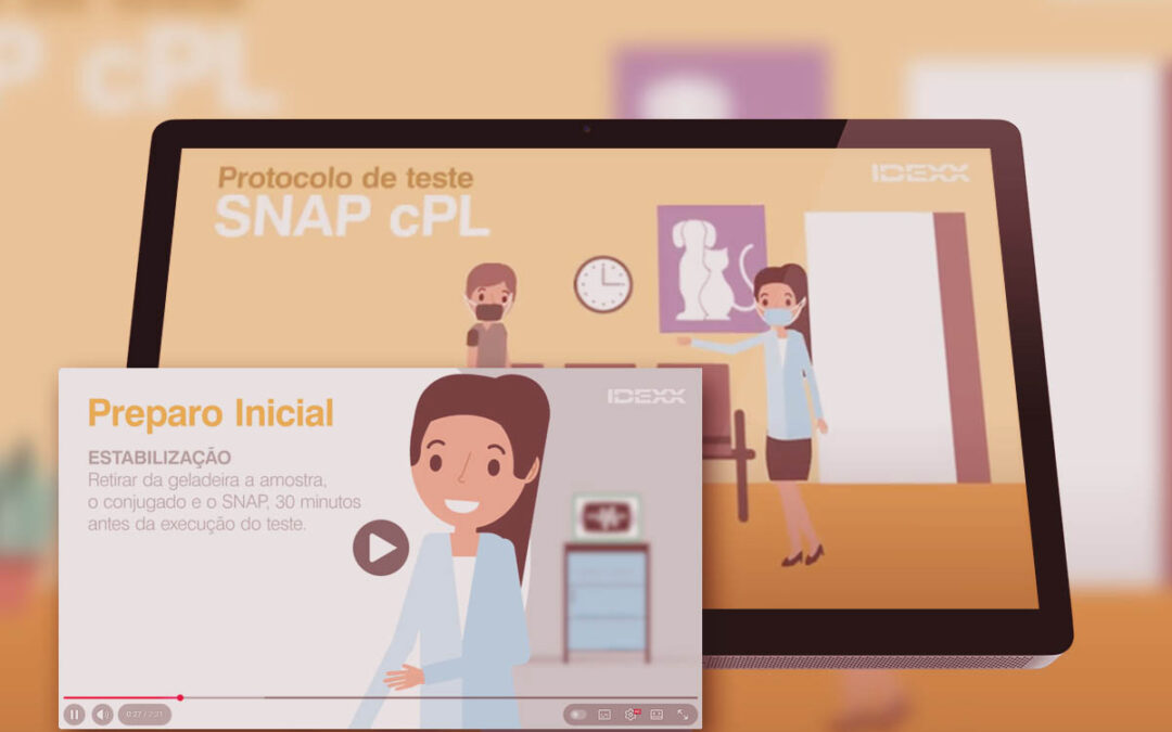 Motion Graphics Protocolos SNAP IDEXX