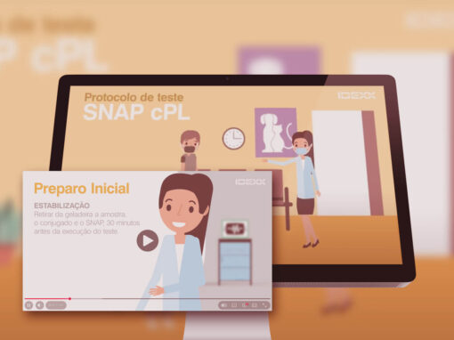 Motion Graphics Protocolos SNAP IDEXX