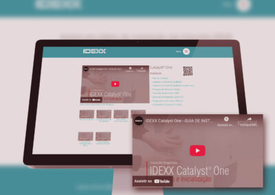 Treinamento de Recursos IDEXX